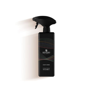 OUDY HOME SPY ROOM SPRAY 500ML