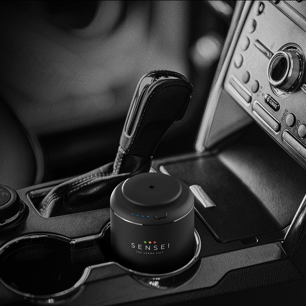 DIFFUSERS FOR CARS - (AROMA OIL INCLUDED)