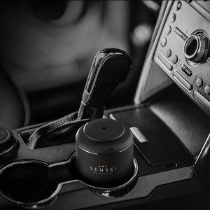 DIFFUSERS FOR CARS - (AROMA OIL INCLUDED)